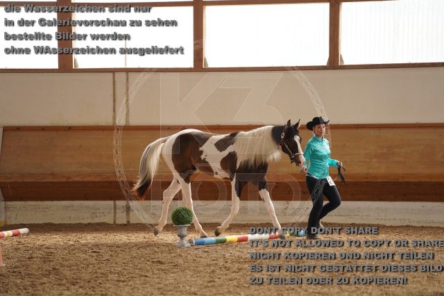 s_A_901369.JPG